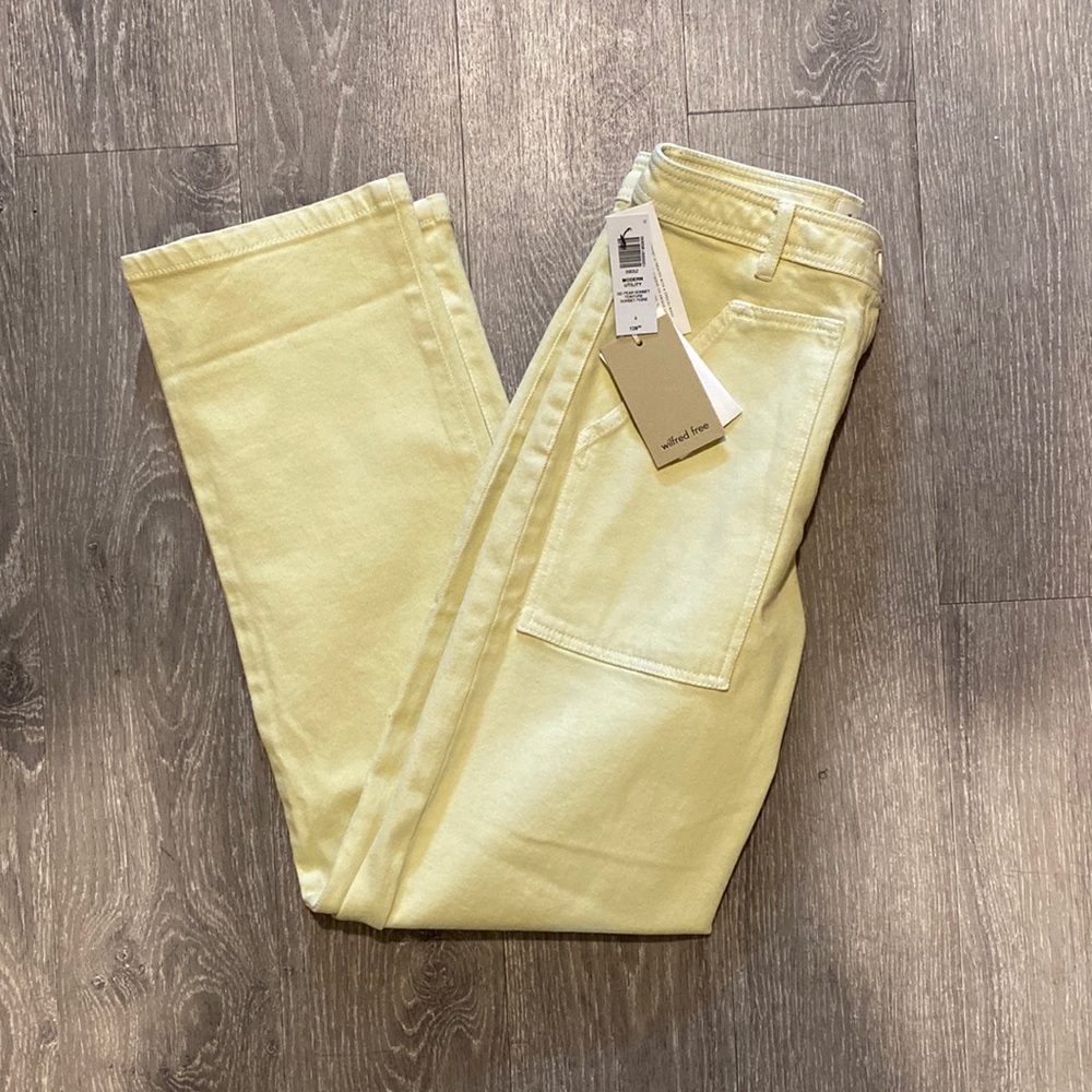 Aritzia Modern Utility Pants